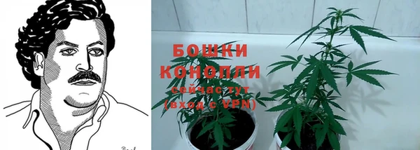 2c-b Инсар