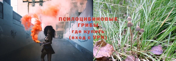 стаф Иннополис