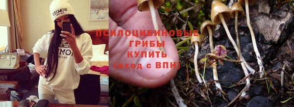соль ск Каменск-Шахтинский